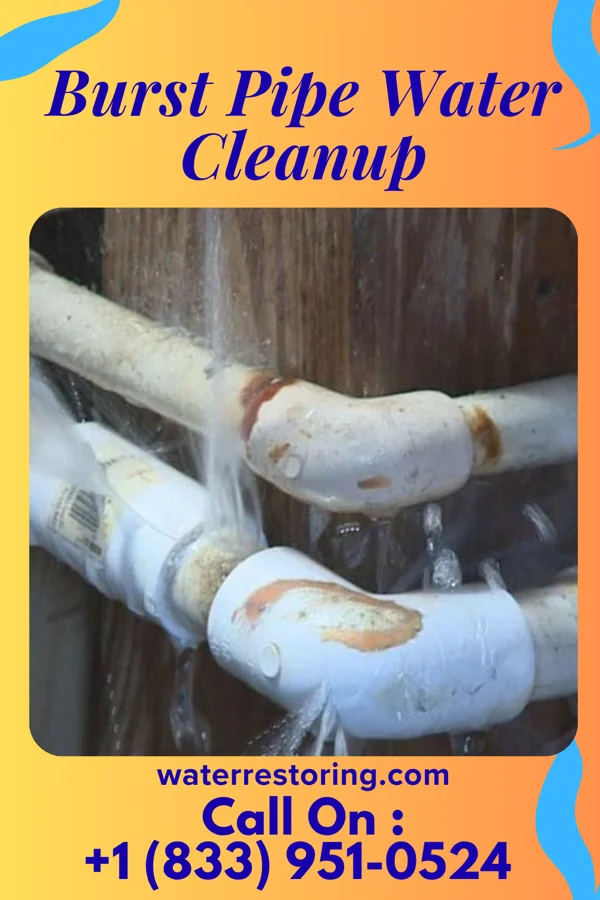 Burst Pipe Water Cleanup in Hickory Hill, KY