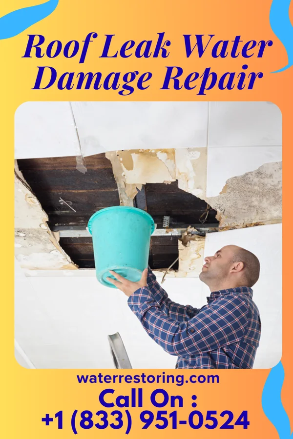Roof Leak Water Damage Repair in Hickory Hill, KY