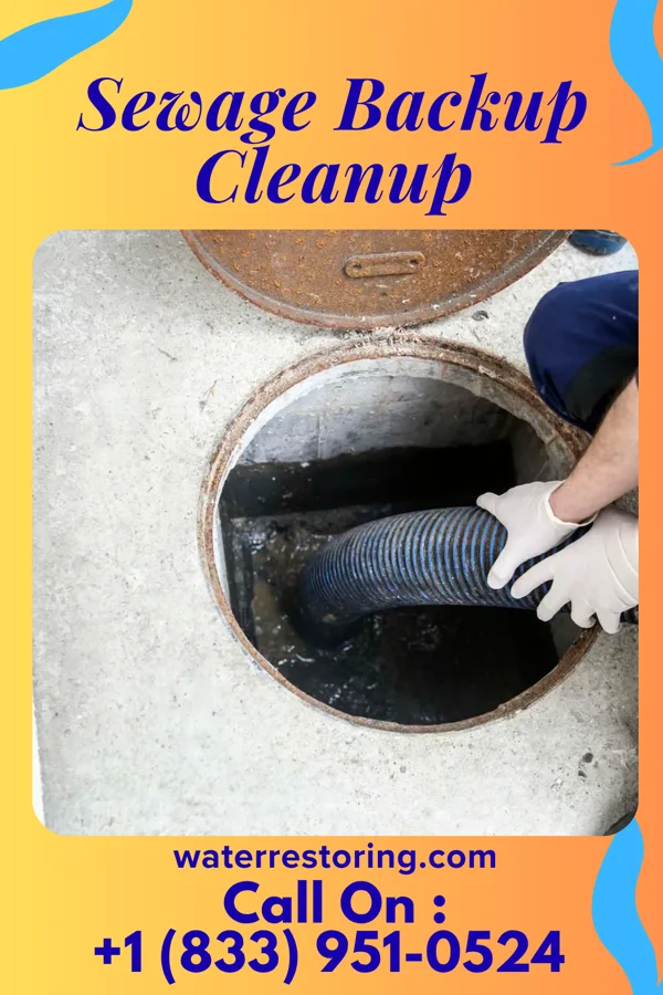 Sewage Backup Cleanup in Hickory Hill, KY