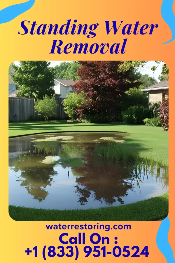 Standing Water Removal in Hickory Hill, KY
